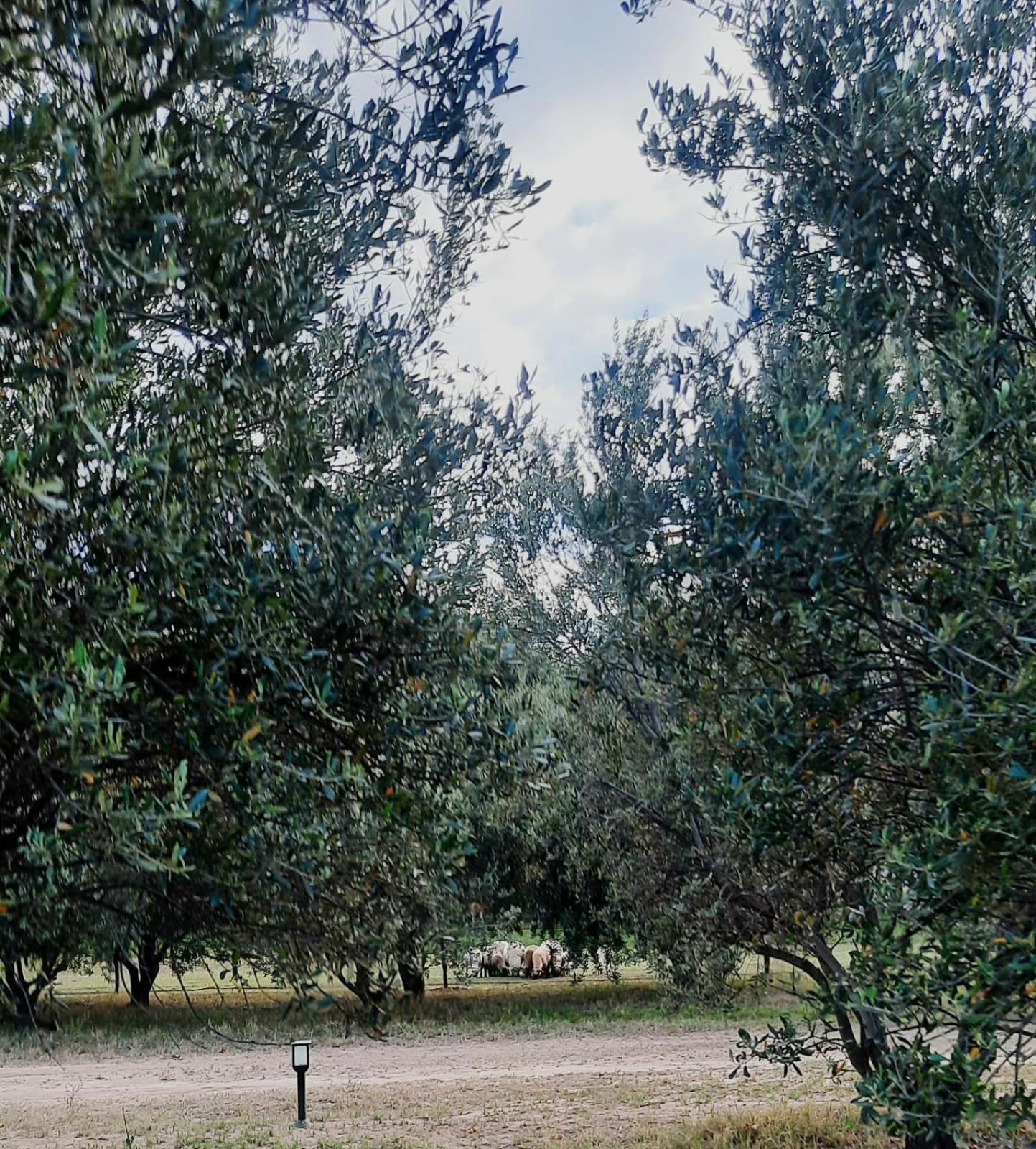 Finca La Calma San Rafael  Bagian luar foto