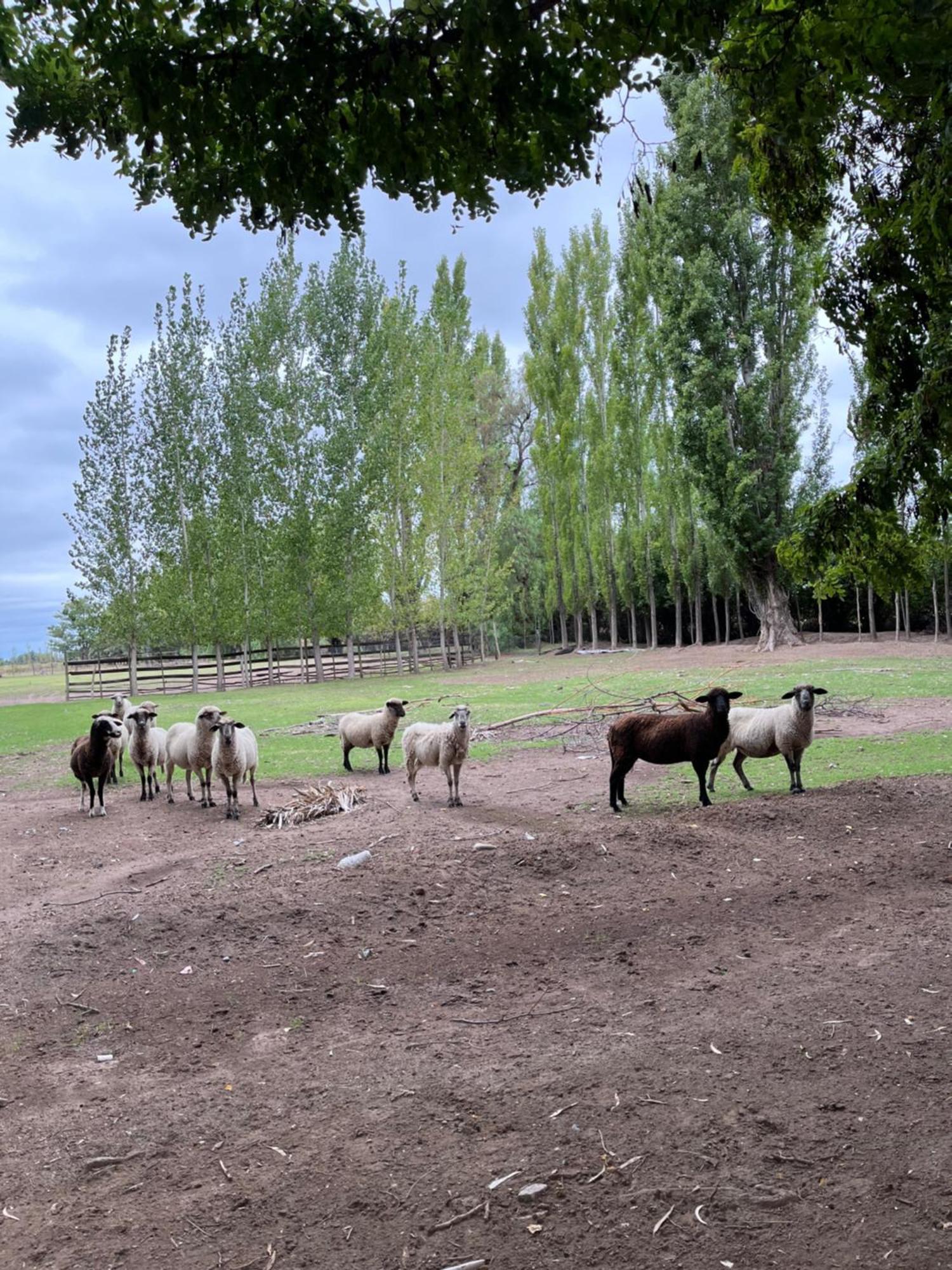 Finca La Calma San Rafael  Bagian luar foto